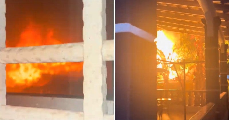 Dd Ft 2026 02 09T144556.204