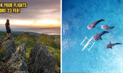 Fireflyraya Header 3