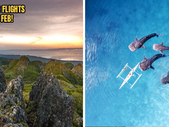 Fireflyraya Header 3