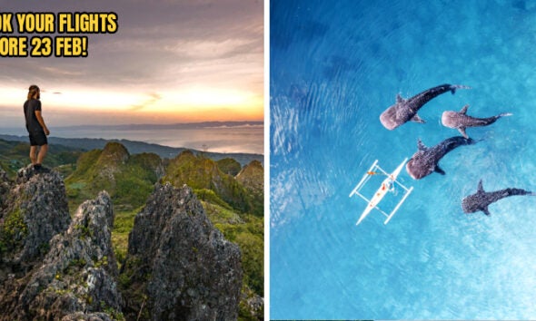 Fireflyraya Header 3