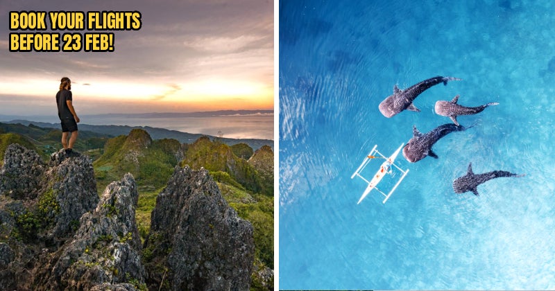 Fireflyraya Header 3