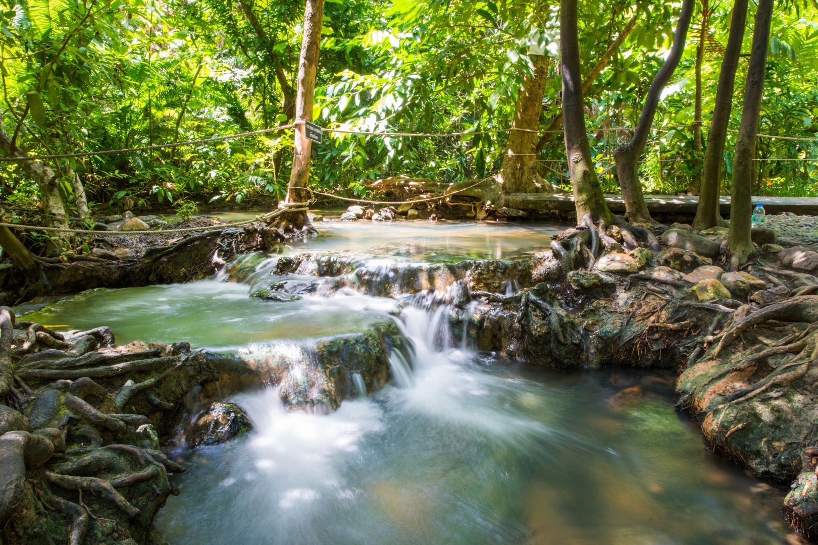 Fireflyraya Krabi Khlong Thom Hot Springs