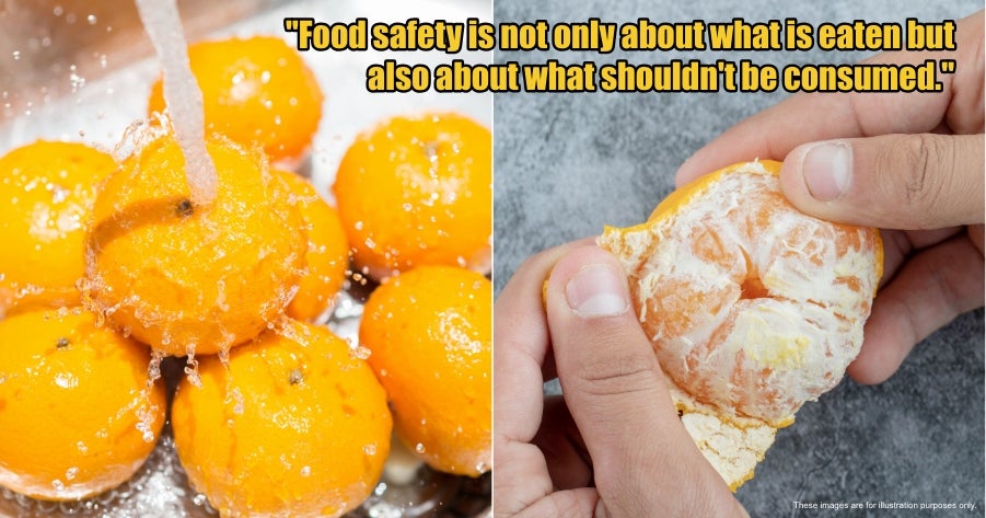 My Post 1 2026 02 02T113241.447