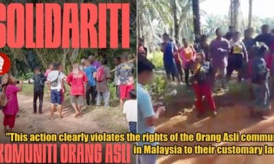 My Post 1 2026 02 10T115952.220