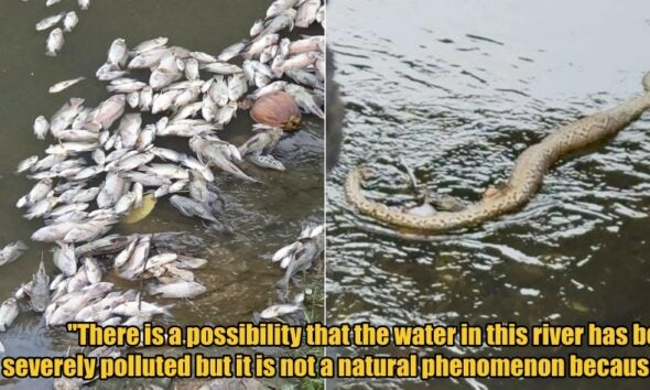 My Post 1 2026 02 13T120259.151