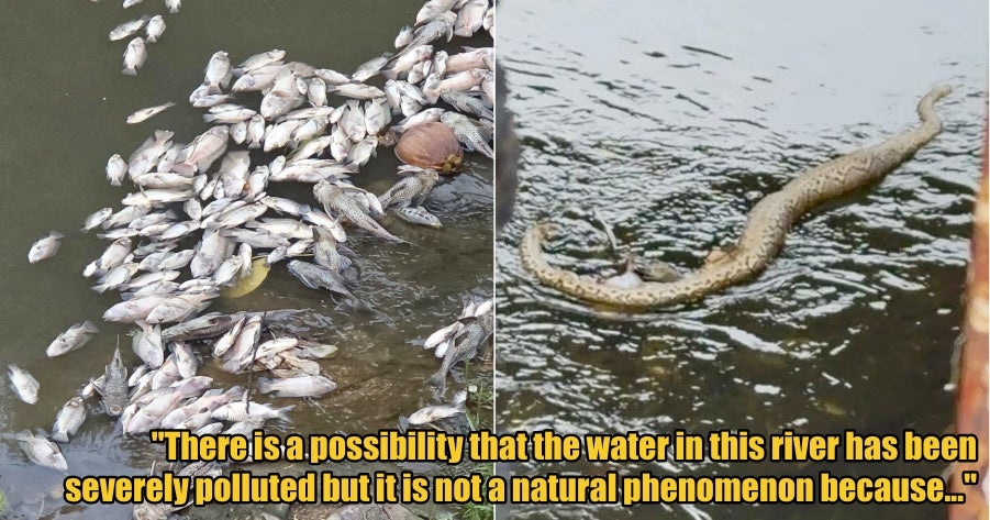 My Post 1 2026 02 13T120259.151