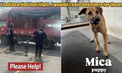 My Post 1 2026 02 16T105031.625