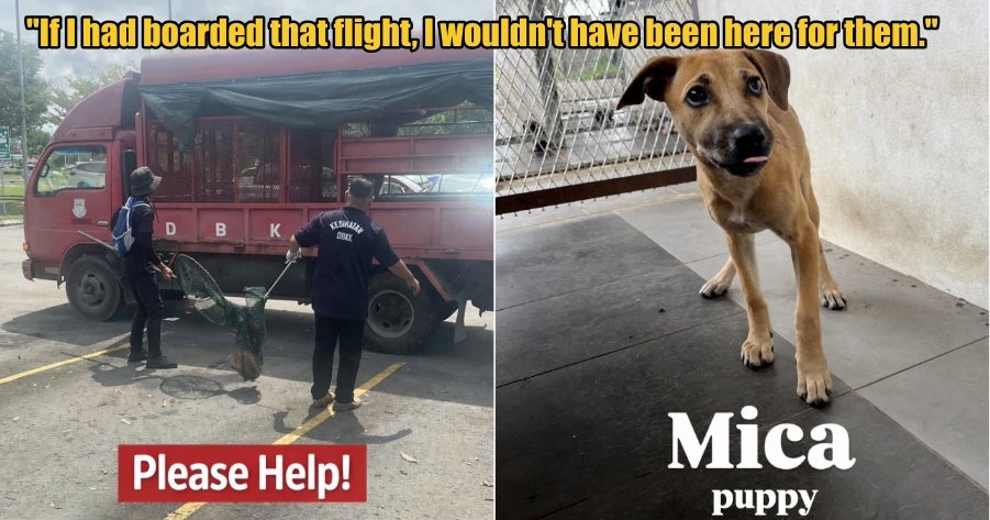 My Post 1 2026 02 16T105031.625