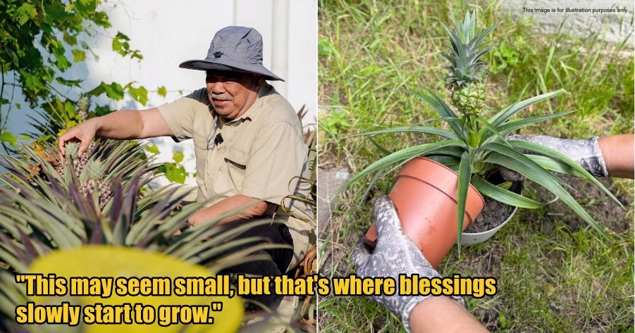 My Post 1 2026 02 19T143459.005