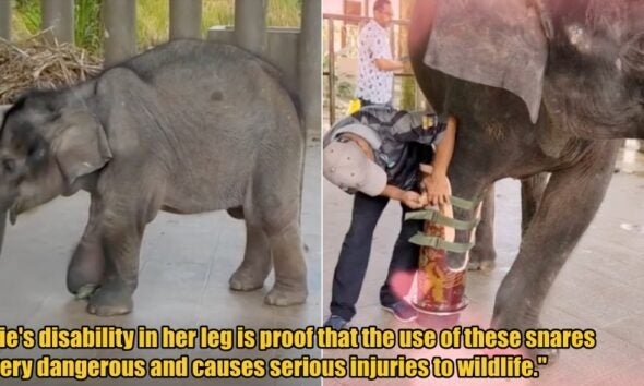 My Post 1 2026 02 20T171412.214