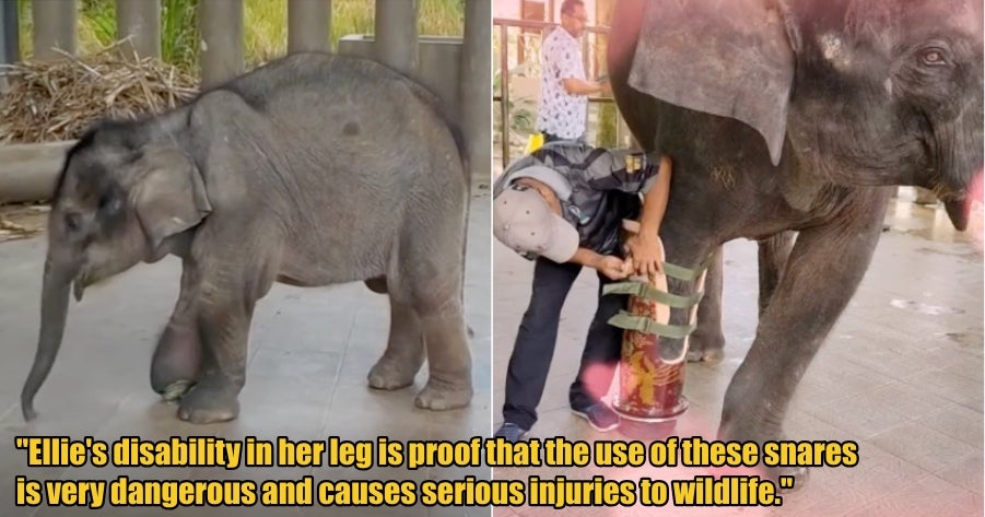 My Post 1 2026 02 20T171412.214