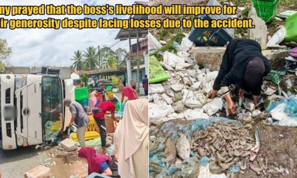 My Post 1 2026 02 24T133847.821