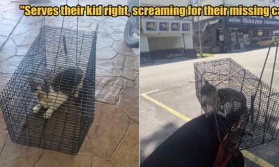 My Post 1 2026 02 25T104635.140