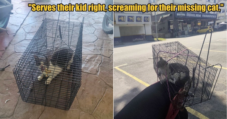 My Post 1 2026 02 25T104635.140