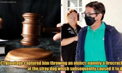 My Post 1 2026 02 27T140128.749