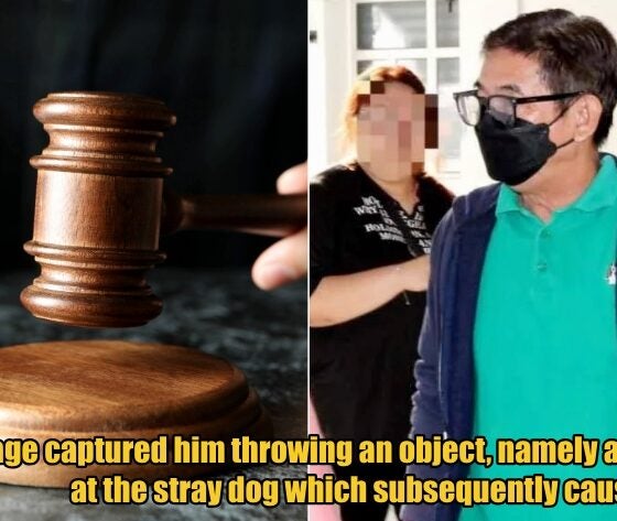 My Post 1 2026 02 27T140128.749