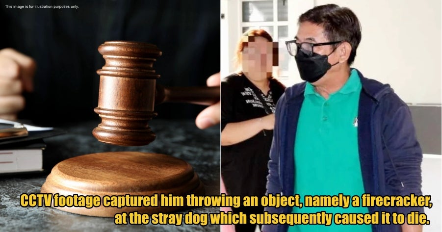 My Post 1 2026 02 27T140128.749