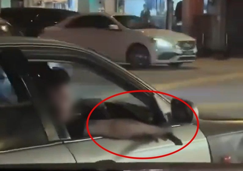 Screenshot 2026 02 06 101449