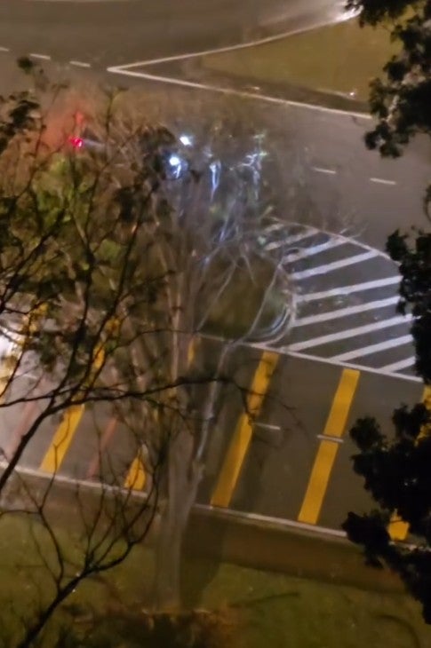 Screenshot 2026 02 17 105648