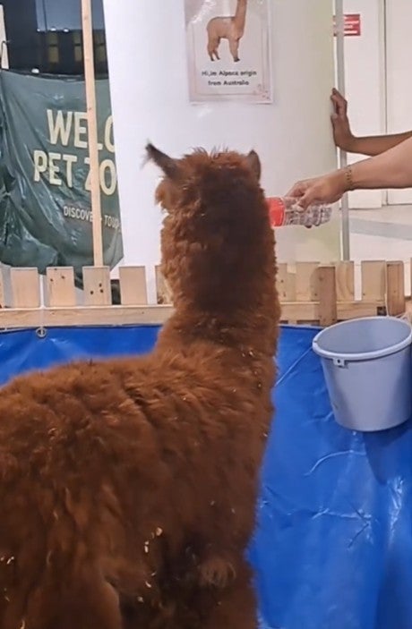 Screenshot 2026 02 19 102225