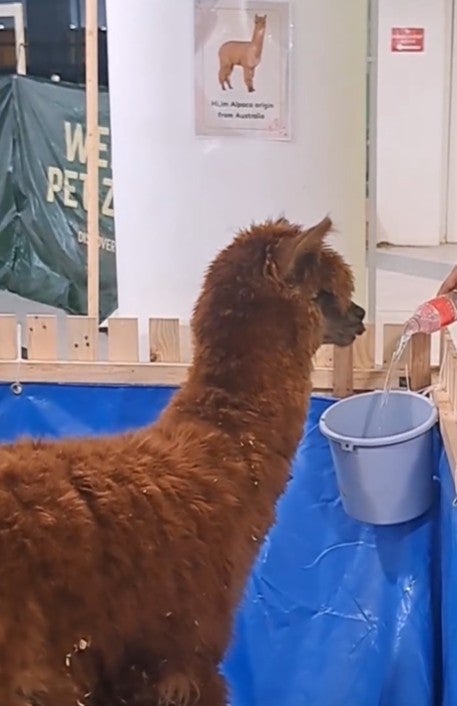 Screenshot 2026 02 19 104351