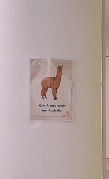 Screenshot 2026 02 19 104420