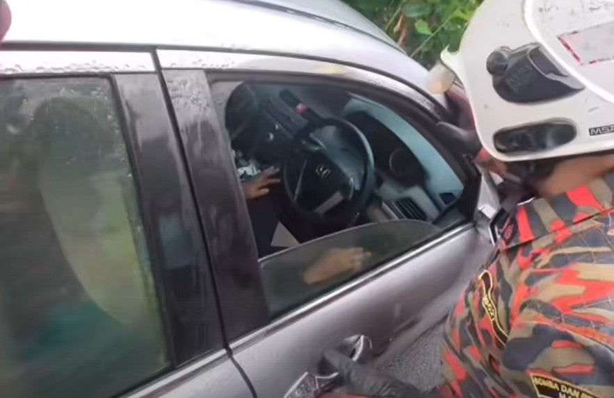 Screenshot 2026 02 19 130339