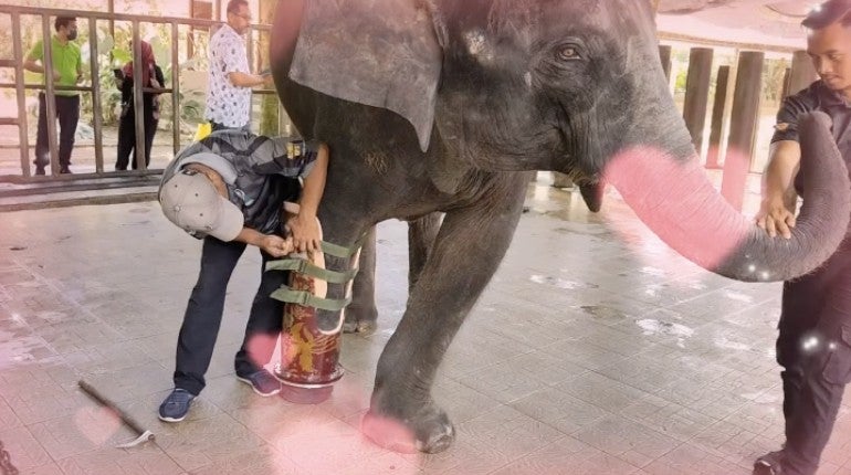 Screenshot 2026 02 20 At 5.10.37 Pm