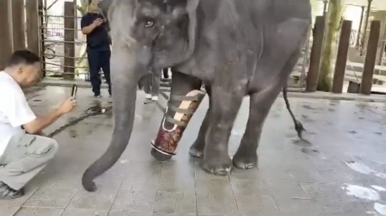 Screenshot 2026 02 20 At 5.11.23 Pm