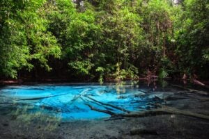 Wob Cc Team Stock Images Etc. 62