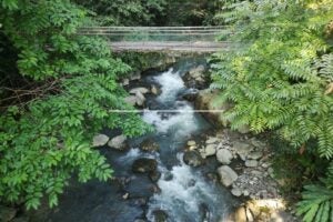 Wob Cc Team Stock Images Etc. 73