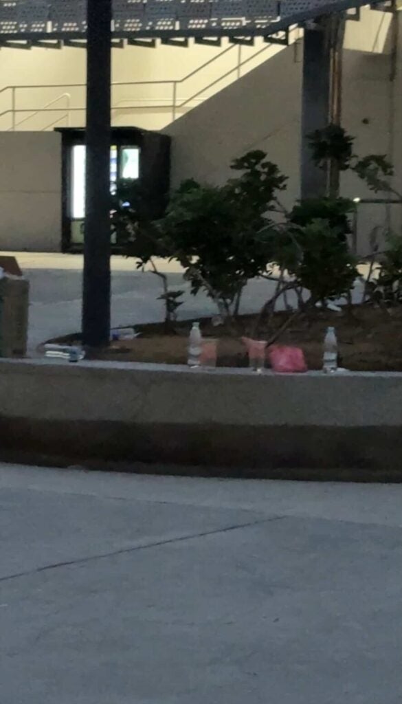 Trash 2 E1771226852124