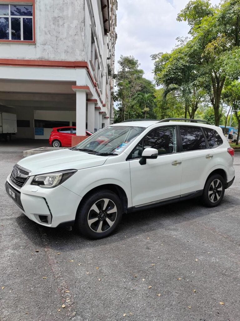 645460545 17883008766466776 1203324691475906725 N