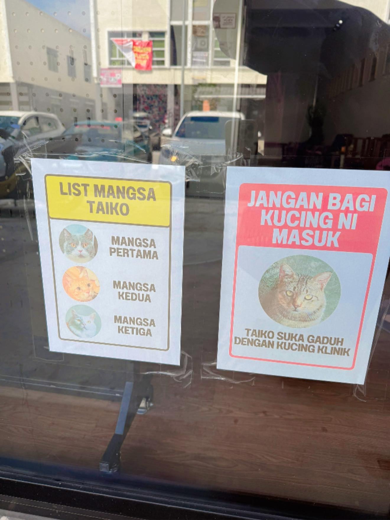 646083955 10225870696188704 1733641798055154178 N