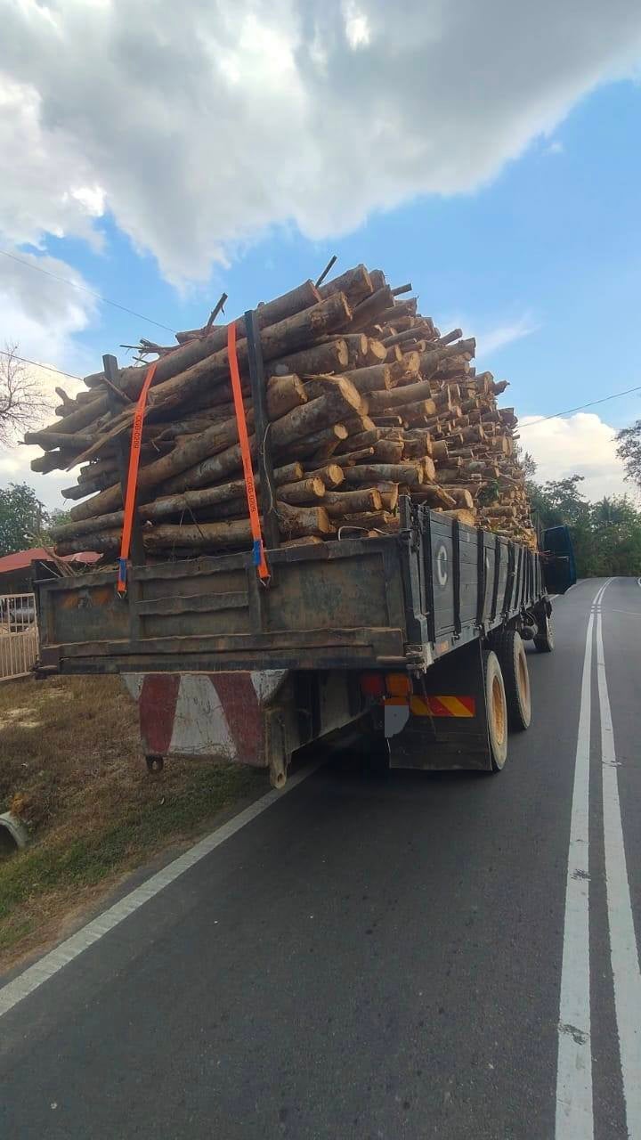 649804718 1354475700042538 2403403475195330458 N