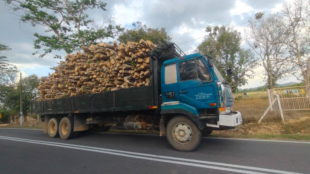 653479996 1354475746709200 4122106007462893212 N