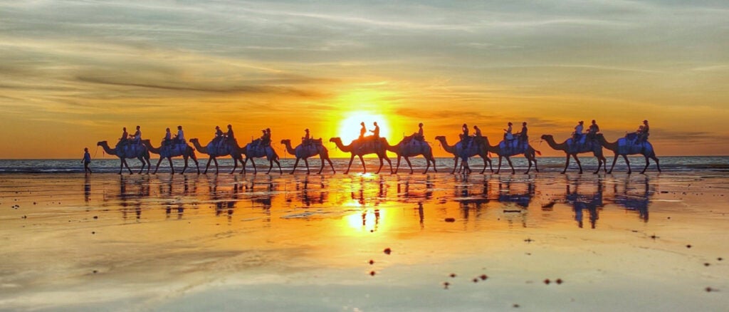 Broome Camel Safaris 1