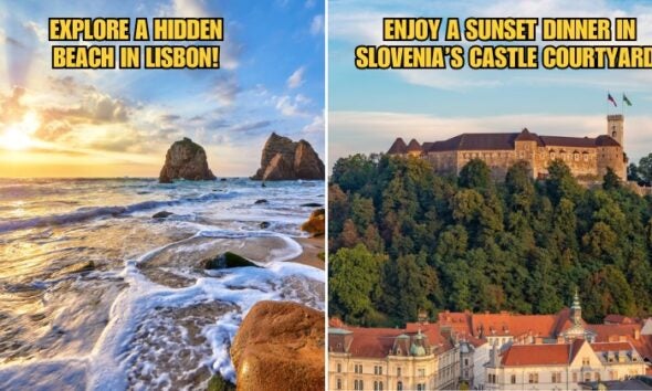 Copy Of Subheading 2026 03 12T154748.736 1