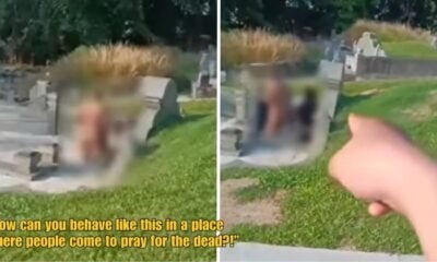 Dd Ft 2026 03 23T101443.258