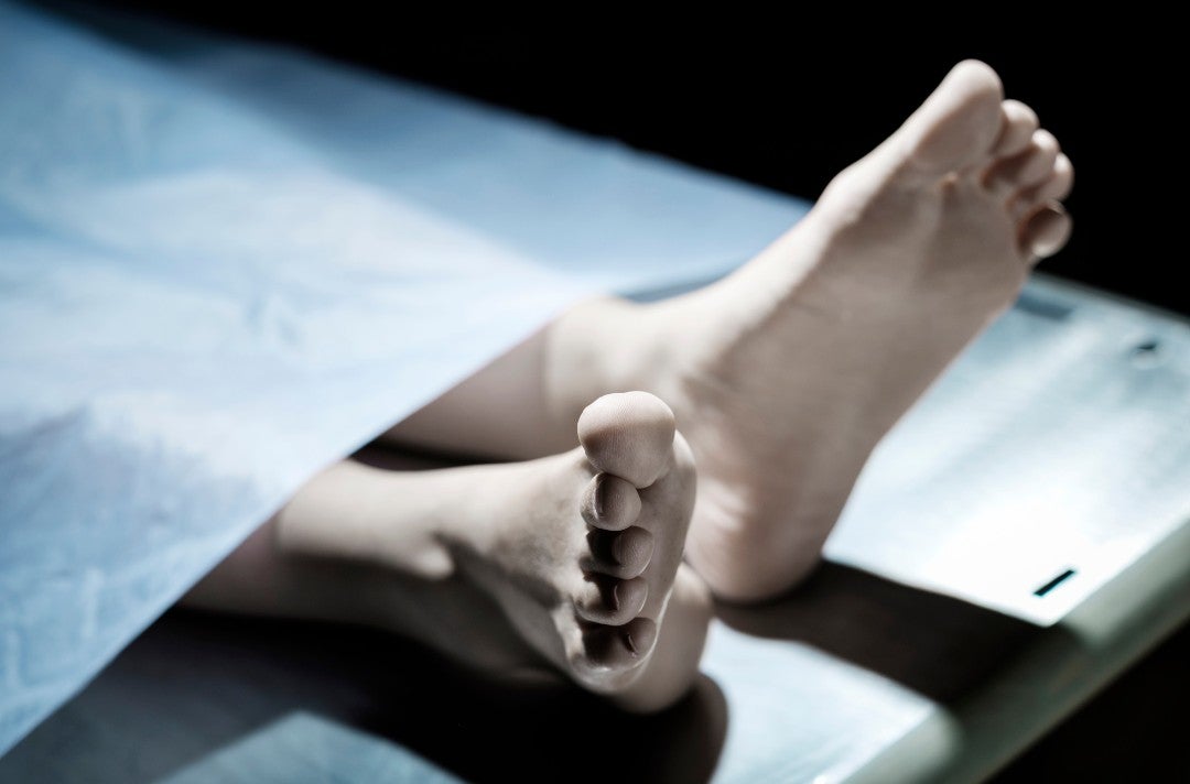 Didis Canva Do Not Touch 75