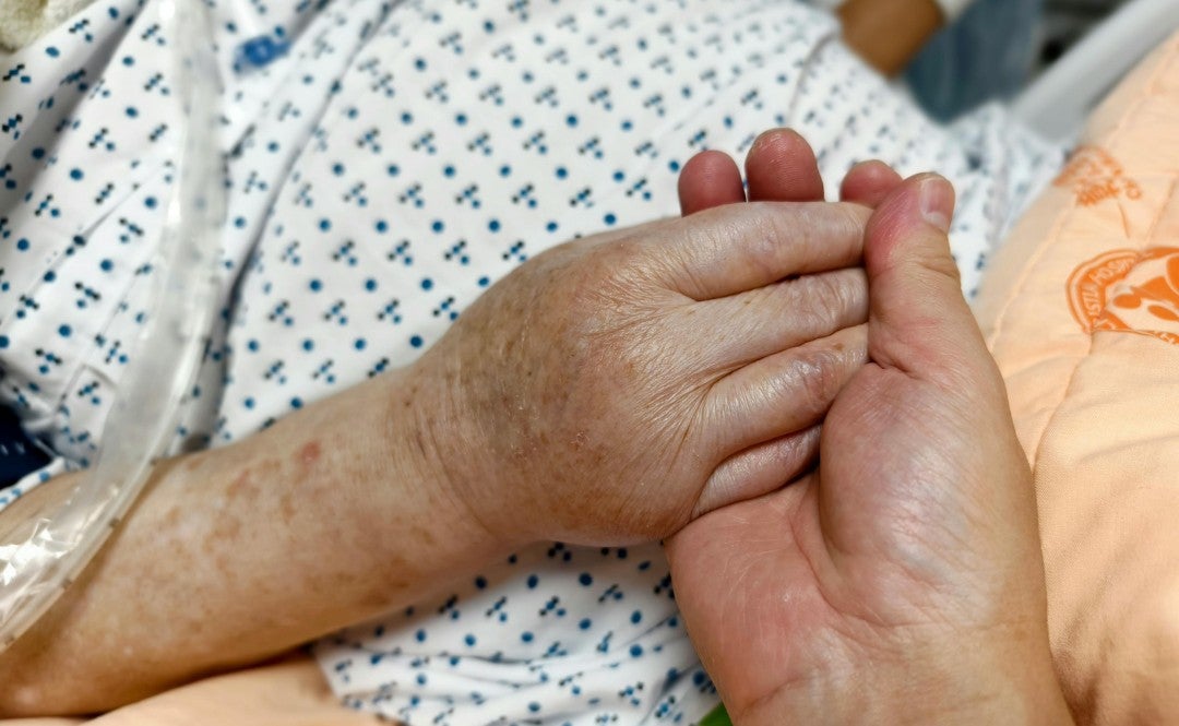 Didis Canva Do Not Touch 81