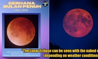 My Post 1 2026 03 03T114345.127