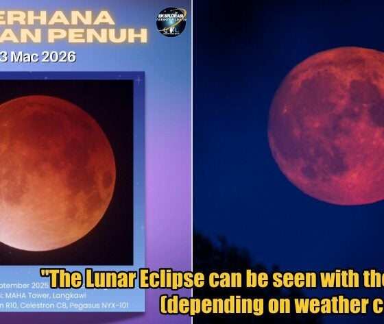 My Post 1 2026 03 03T114345.127