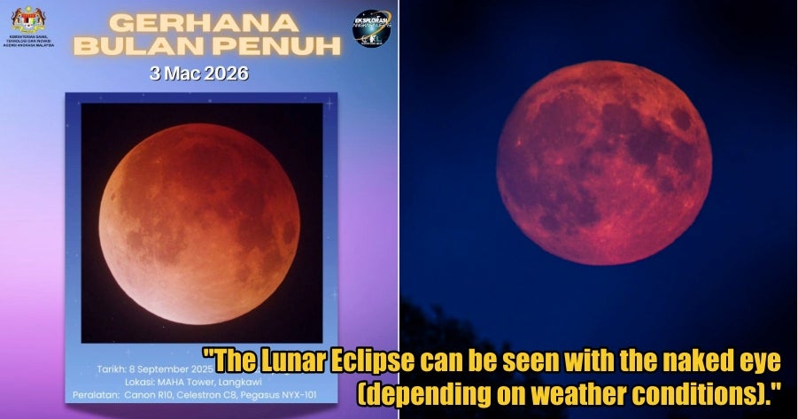 My Post 1 2026 03 03T114345.127