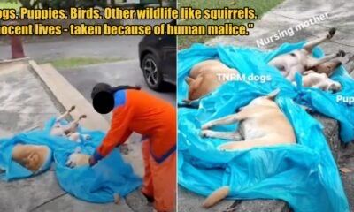 My Post 1 2026 03 04T114356.477