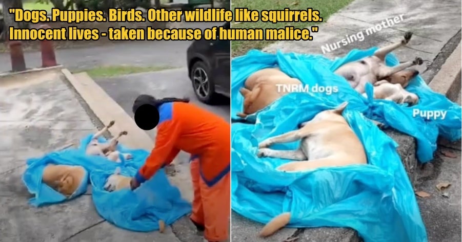 My Post 1 2026 03 04T114356.477