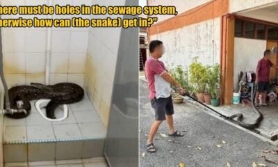 My Post 1 2026 03 05T114602.695