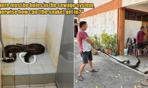 My Post 1 2026 03 05T114602.695