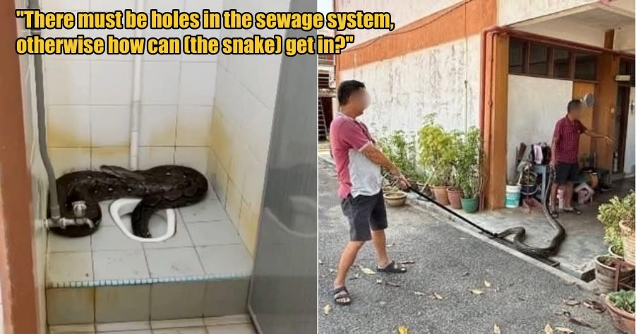 My Post 1 2026 03 05T114602.695