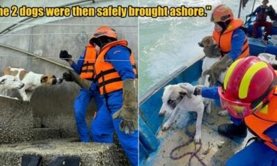 My Post 1 2026 03 09T103402.348